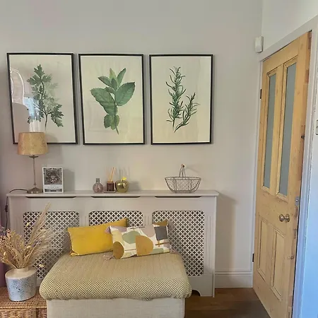 - 66 Scott Street York